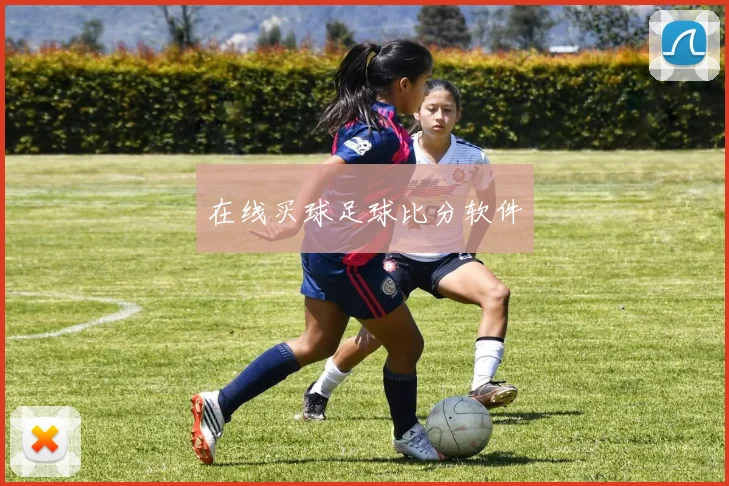 在线买球足球比分软件