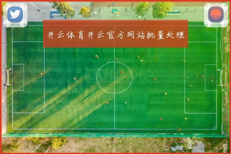 开云体育开云官方网站批量处理