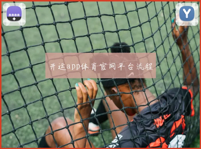 开运app体育官网平台流程