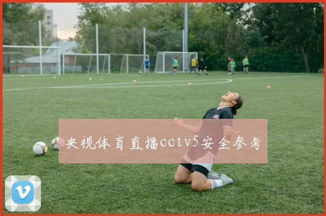 央视体育直播cctv5安全参考