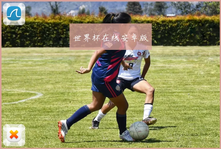 世界杯在线安卓版