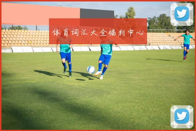 体育词汇大全福利中心