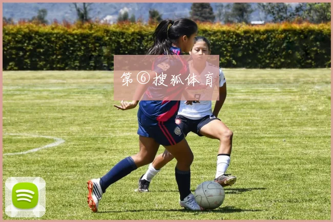 第⑥搜狐体育