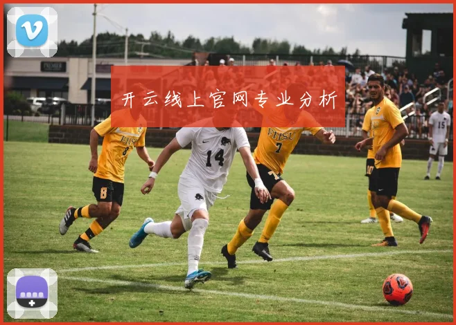 开云线上官网专业分析