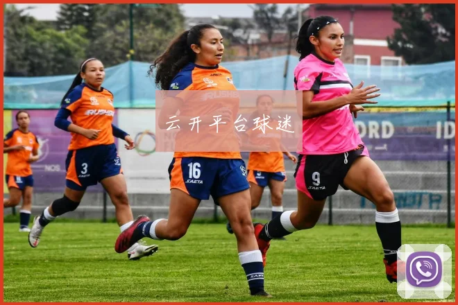 云开平台球迷