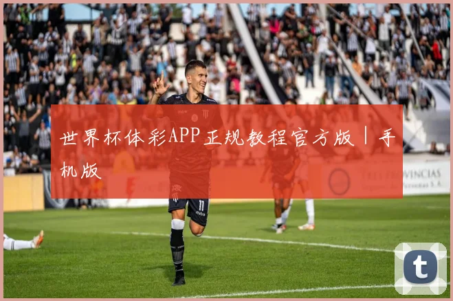 世界杯体彩APP正规教程官方版｜手机版