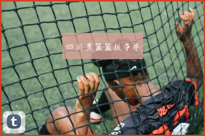 四川男篮篮板争夺