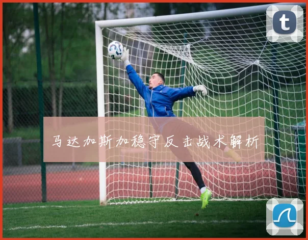 马达加斯加稳守反击战术解析