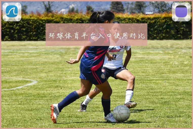 环球体育平台入口使用对比