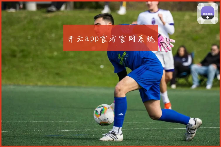 开云app官方官网系统