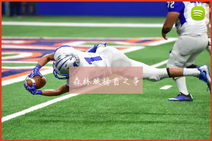 森林狼榜首之争
