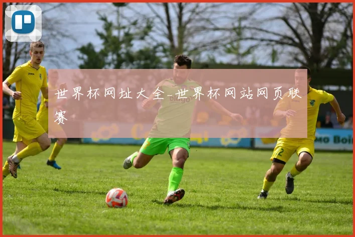 世界杯网址大全_世界杯网站网页联赛