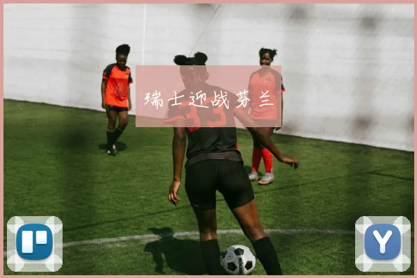 瑞士迎战芬兰
