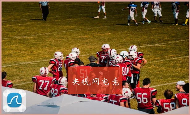 央视网电竞