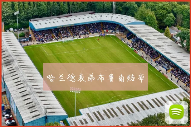 哈兰德表弟布鲁南赔率