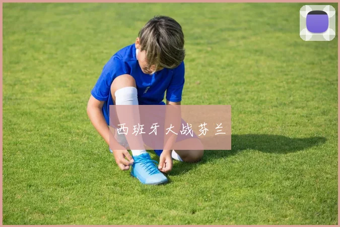 西班牙大战芬兰