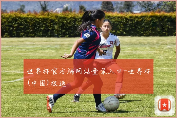世界杯官方端网站登录入口-世界杯(中国)极速