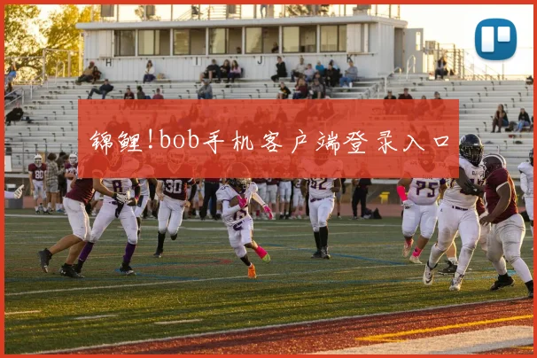 锦鲤!bob手机客户端登录入口
