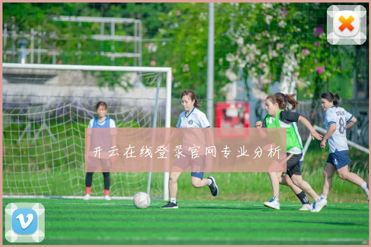开云在线登录官网专业分析