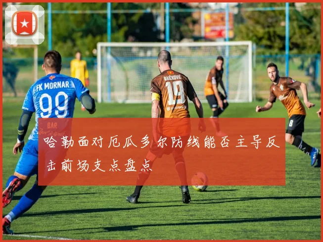 哈勒面对厄瓜多尔防线能否主导反击前场支点盘点