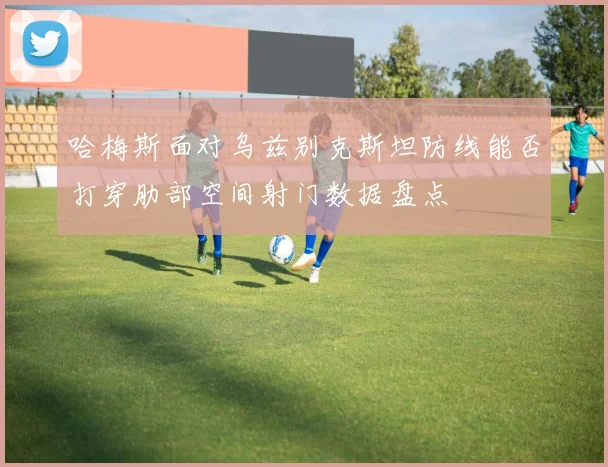 哈梅斯面对乌兹别克斯坦防线能否打穿肋部空间射门数据盘点